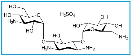 Kanamycin A Sulfate